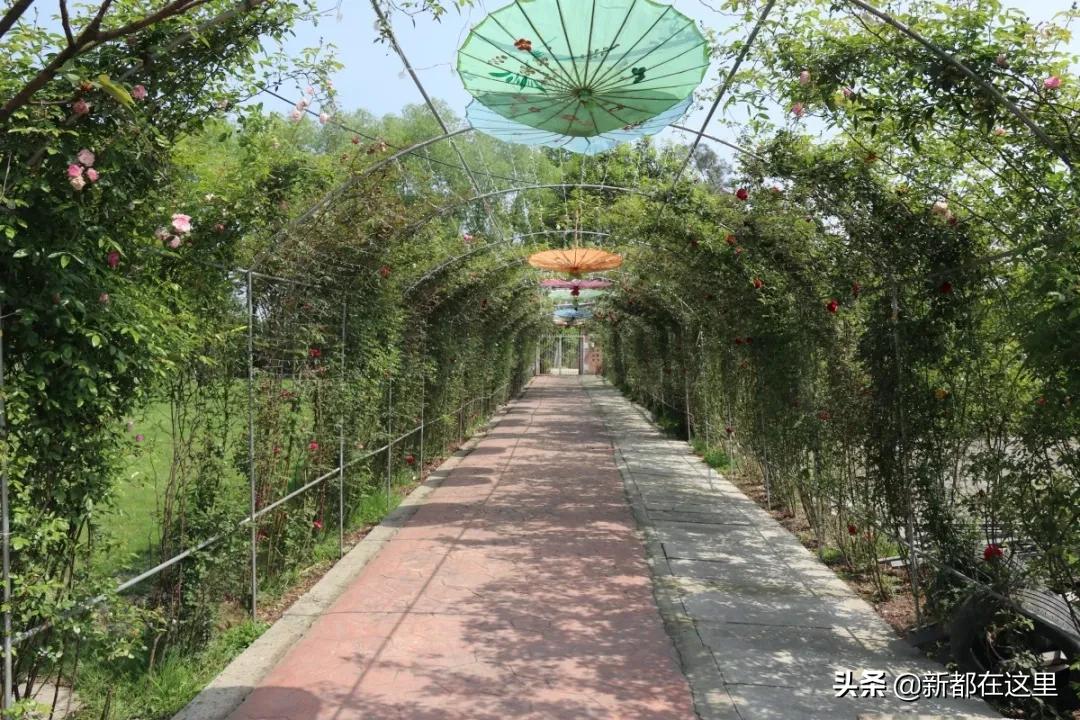 周末新都耍了一圈，朋友都以为我出了趟国