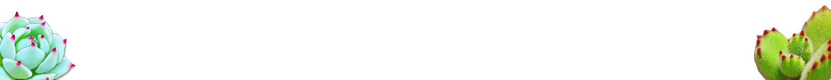 生石花起皱是怎么回事,生石花皱了怎么处理