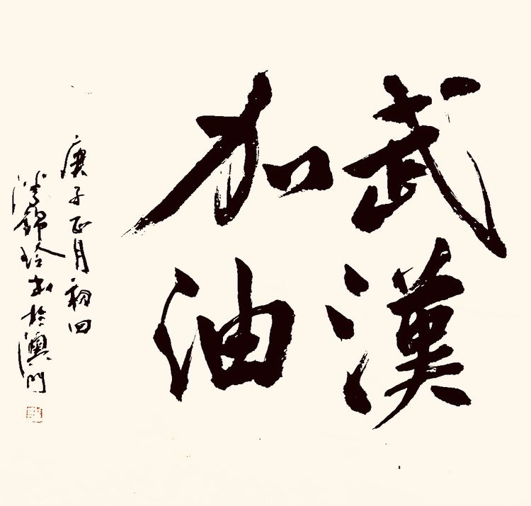 37位名家长江书法展,书法楷书武汉加油中国加油