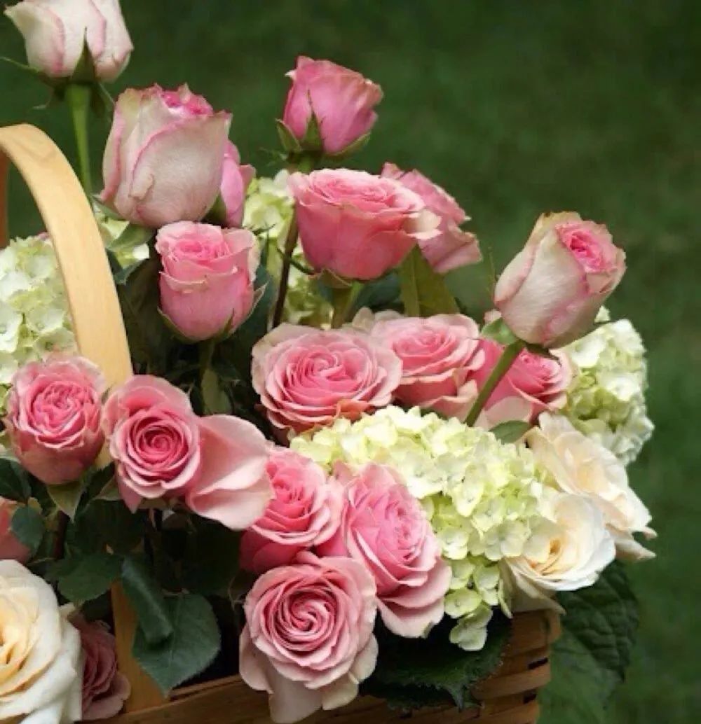 棋逢对手第36集全部观看,棋逢对手39电视剧