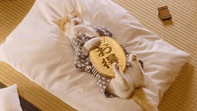 罗浮山清水湖民宿订房,全家出游避暑