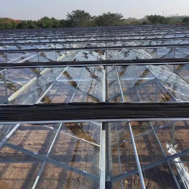 种植温室大棚一亩多少钱,四川玻璃温室大棚多少钱一平方米