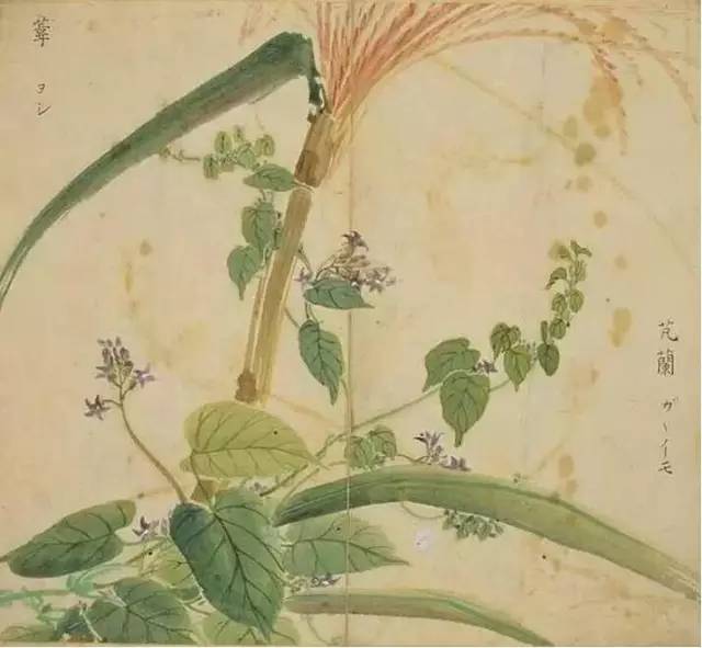 五千年来最美的20首诗,100首美到窒息的诗句