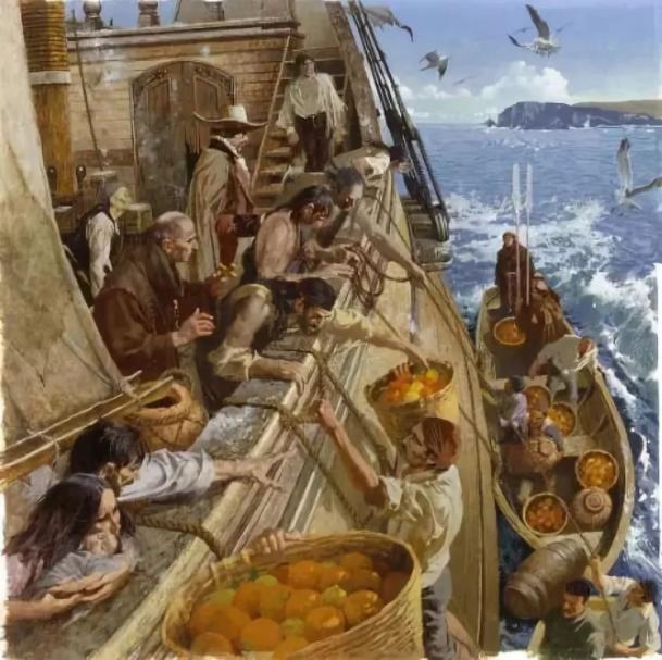 大航海时代坏血病是如何解决的,大航海时代能治坏血病的药