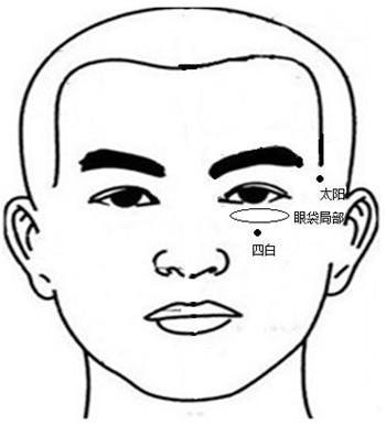 五脏六腑争吵,五脏六腑受到创伤会怎么样