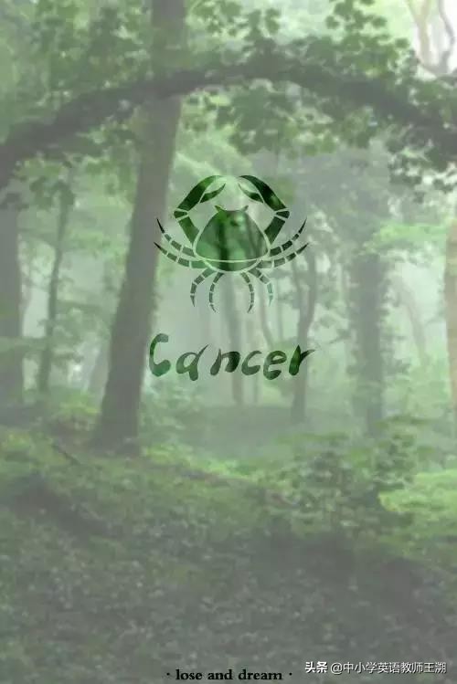 趣味英文字母学习与发音,趣味学英语经典语法