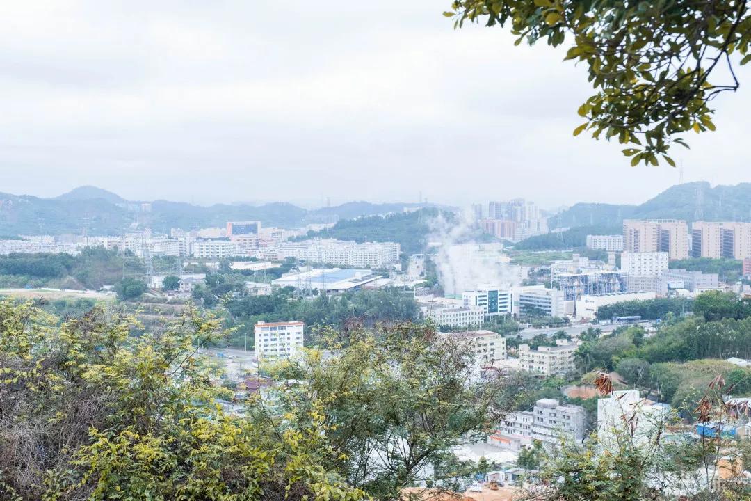 重庆轻轨10号线,10号线有什么玩的