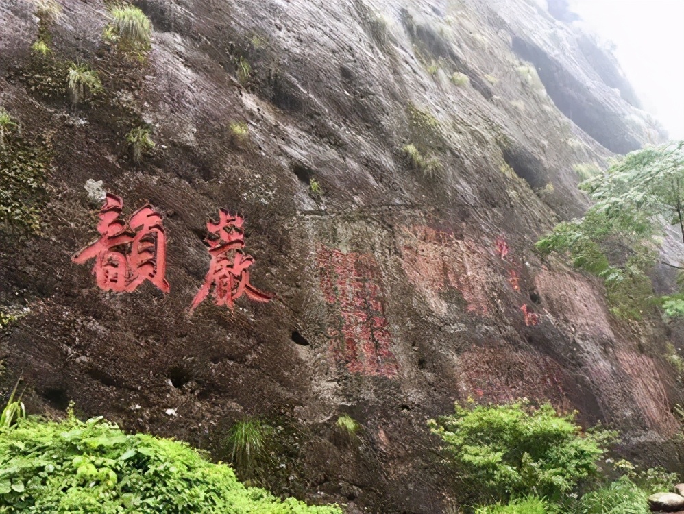 每天1分钟对武夷岩茶多1点了解,什么是岩茶