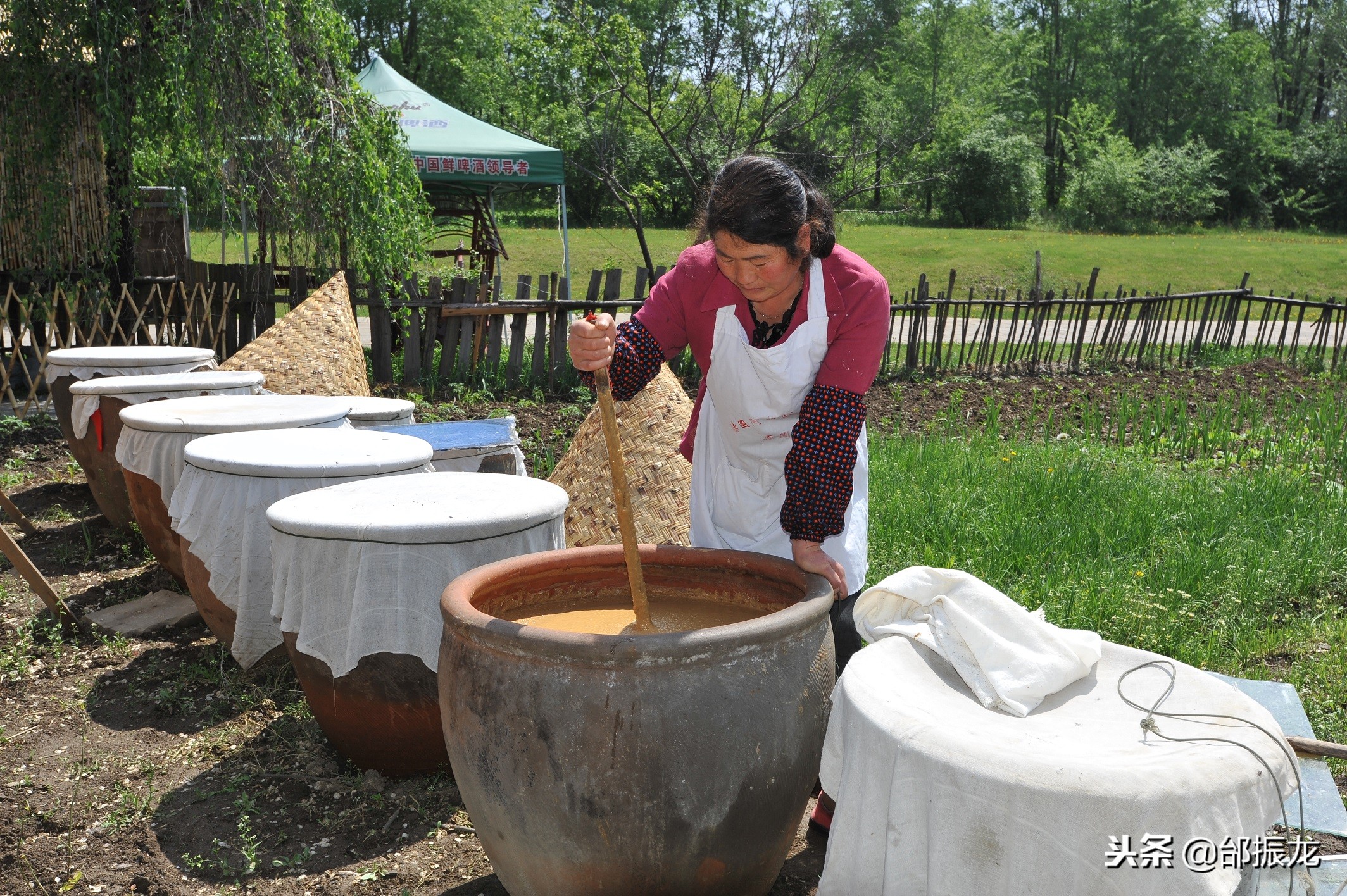 抚顺新宾满族自治县十大特产,抚顺特产单片木耳主要是哪种颜色