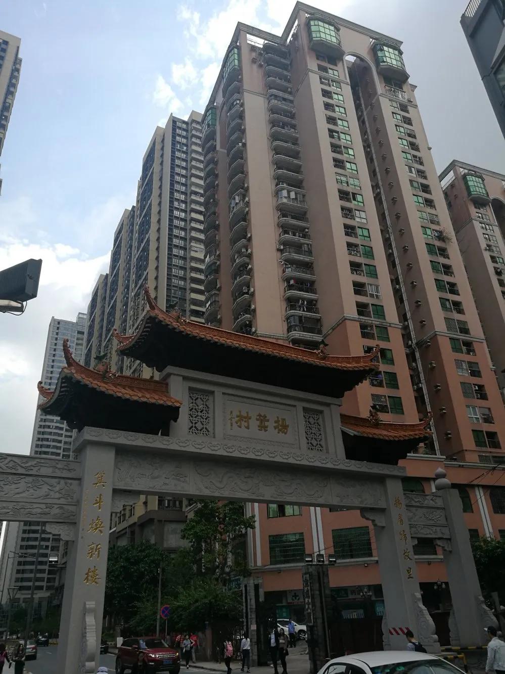 岭南十大明清古村落,九十年代的杨箕村