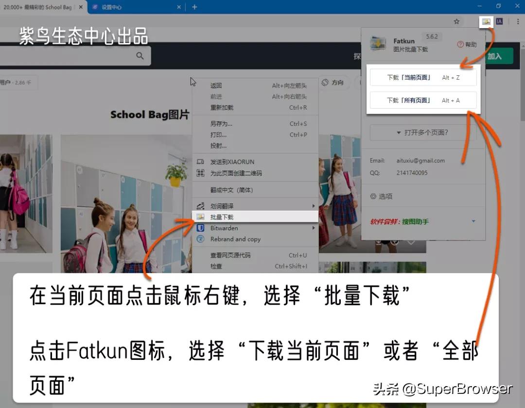 想要批量*载下**图片?这2个宝藏工具帮你搞定