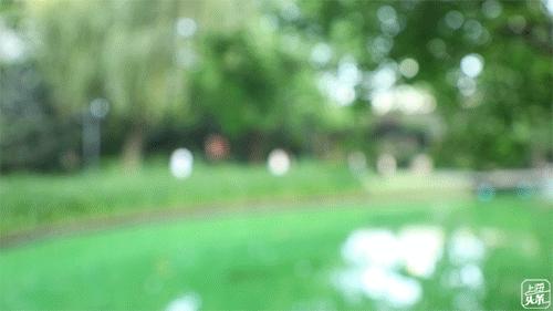 上海一日游古镇最佳路线免费景点,上海晚上十大必去免费景点