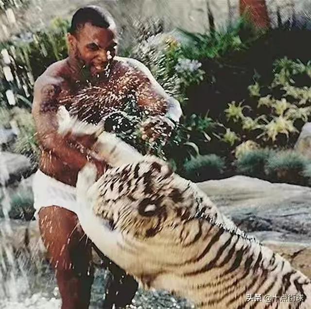 拳击泰森与霍利菲尔德比赛视频,盘点泰森十大ko