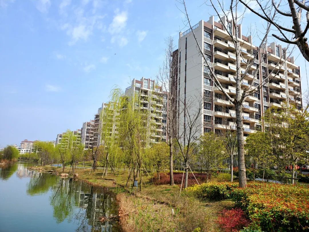 苏州国际学校常熟分校规划图,苏州外国语学校常熟校区