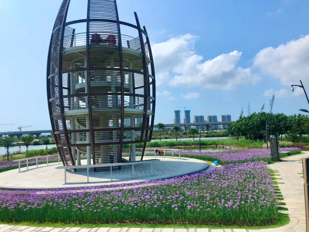 花园庭院设计花卉园艺,花园搭配的草类植物