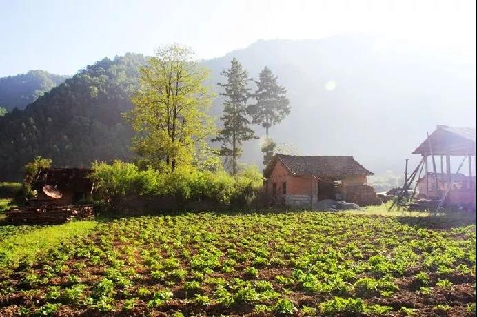 唐诗中的山水田园诗句,唐诗宋词中的田园生活