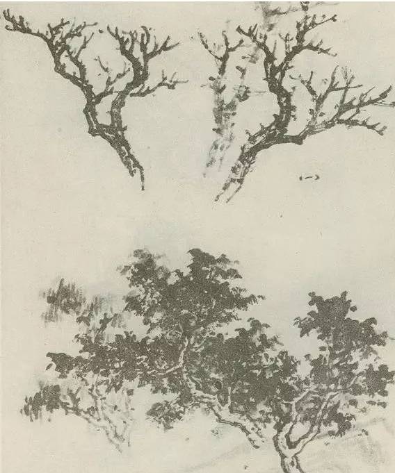 画树教程,怎么画树好看又超级简单