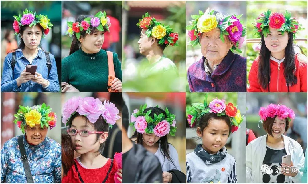 洛阳牡丹花会邀请,洛阳邀请全世界人民看牡丹