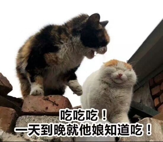 减肥加油表情包,减肥要从管住嘴开始表情包