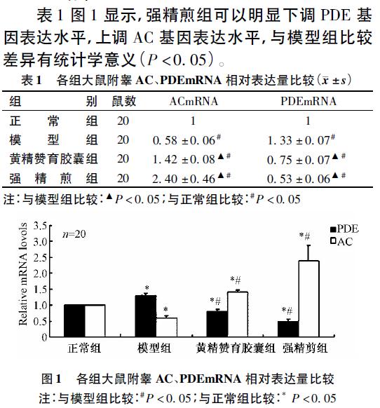 哪些中药方子对男性生育有帮助,补肾壮阳中药会提高睾酮吗