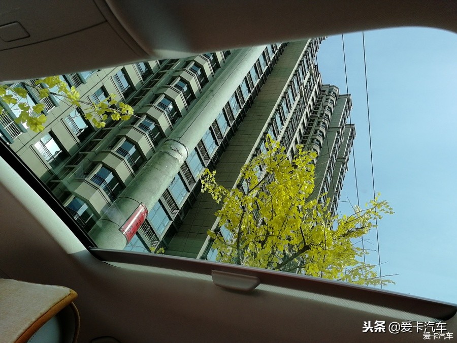 凌冬将至，我的“辣馒头”大众凌渡