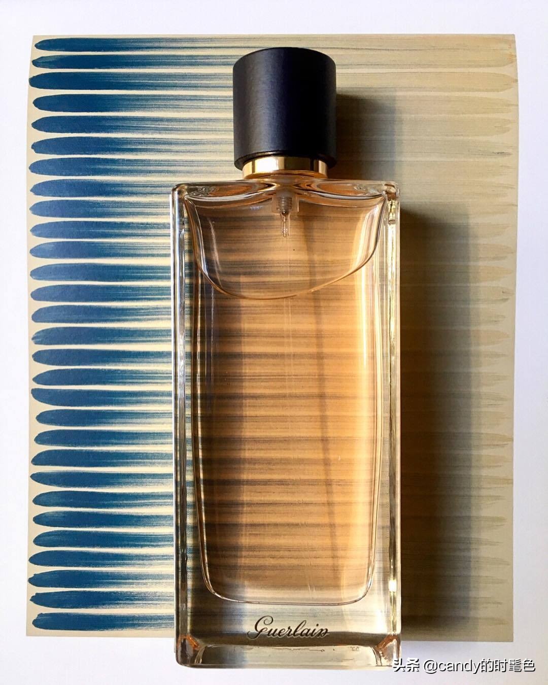 初夏｜请你带上“栀子花”入梦