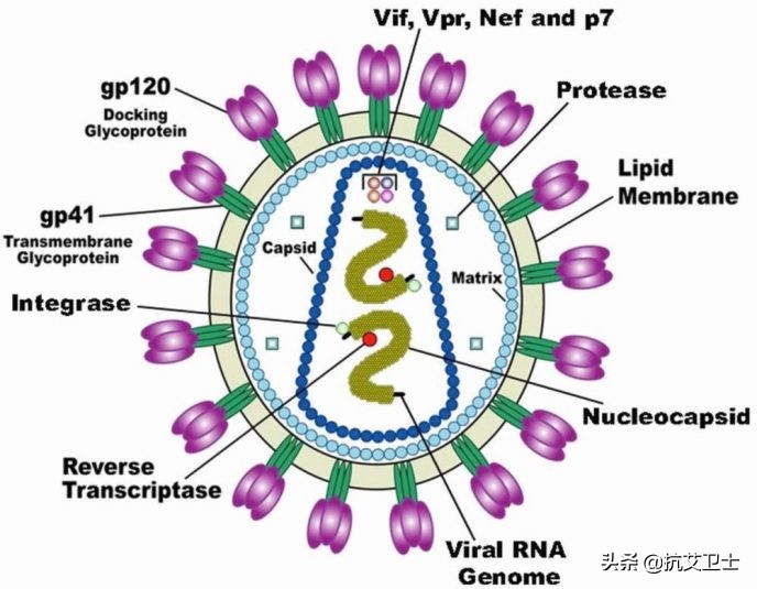 hiv各种检测方法的准确率,hiv检测发展过程