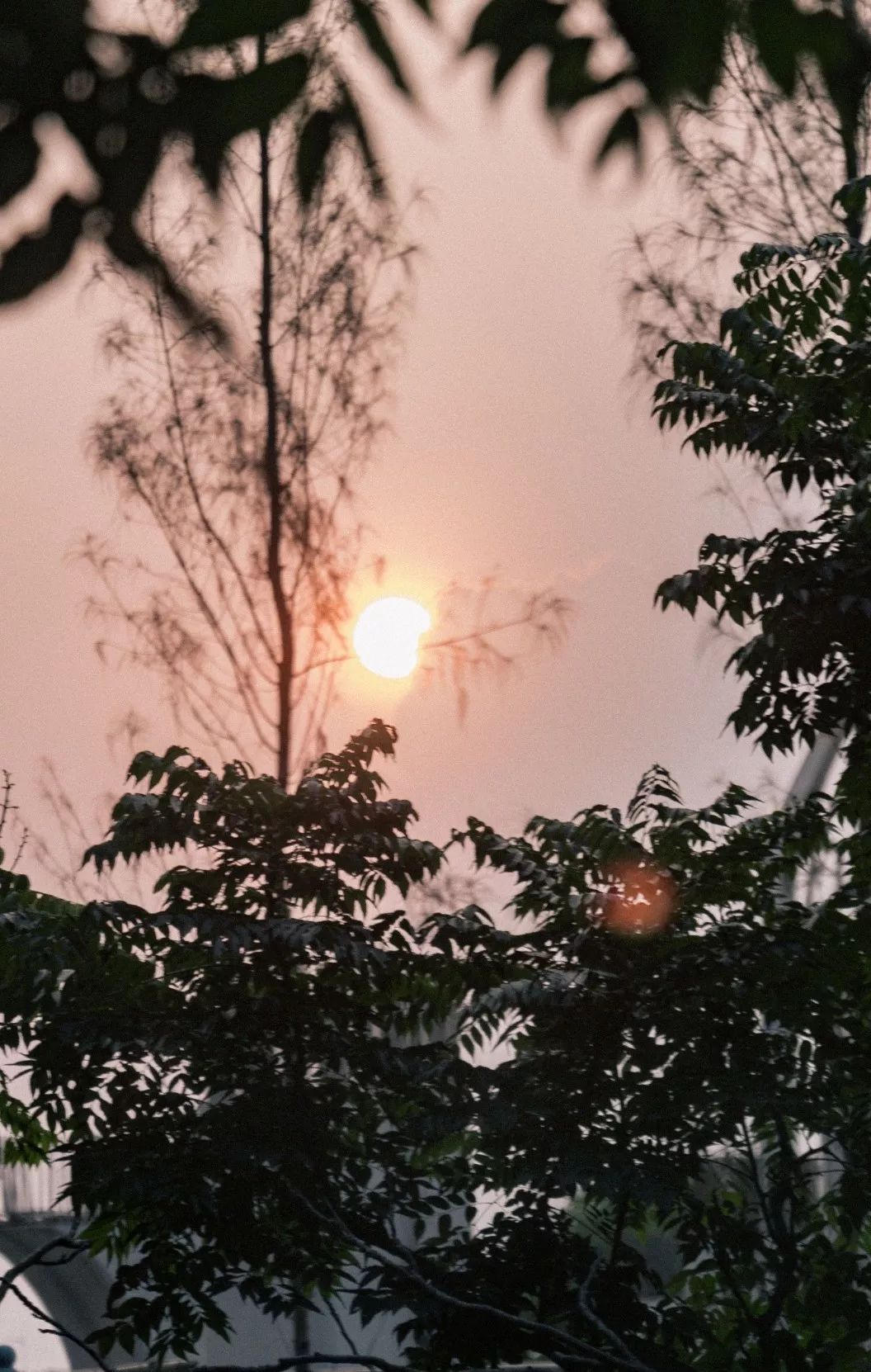 深圳宝安喝茶的世外桃源,宝安西乡世外桃源