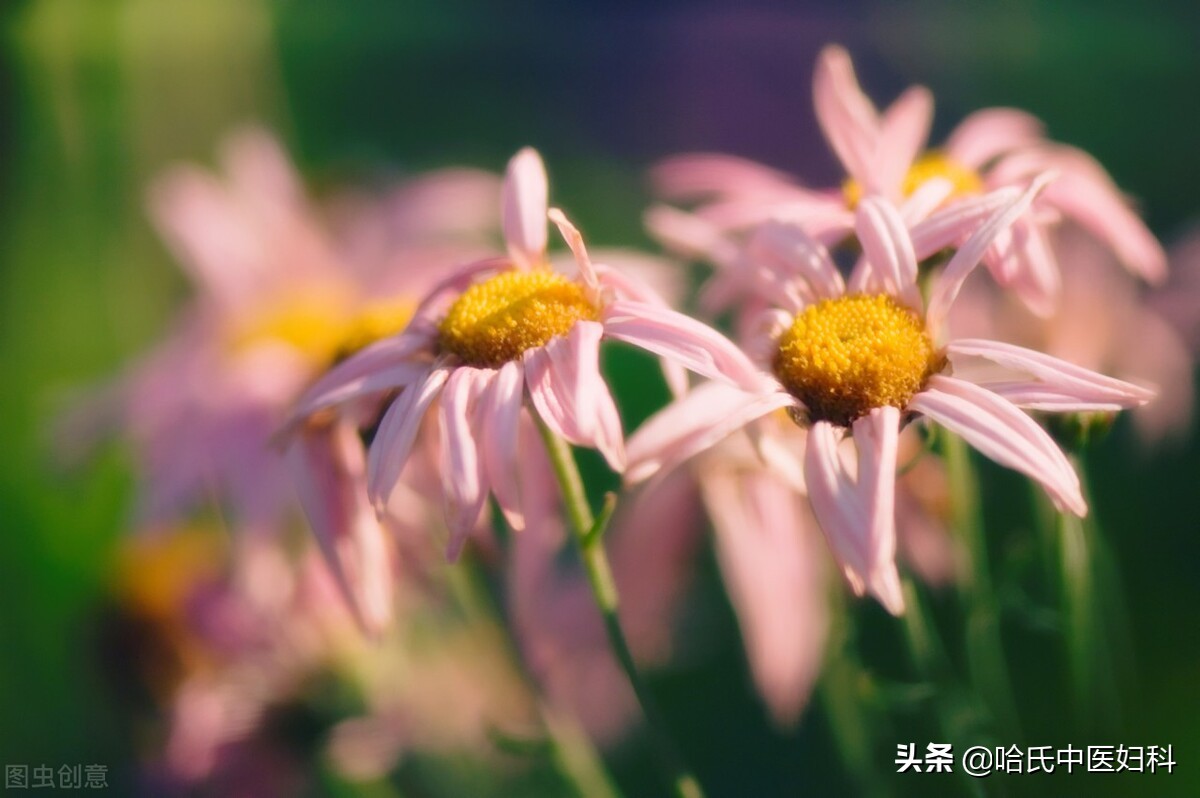 35的女性怀孕风险大吗,女人35停经意味着什么