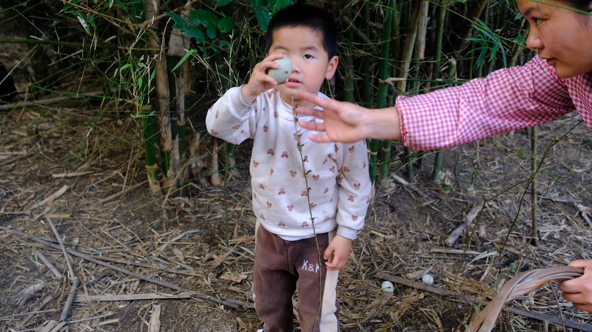 卖完公鸡留母鸡生蛋，不按斤按盒卖70-100块，居然收入千万