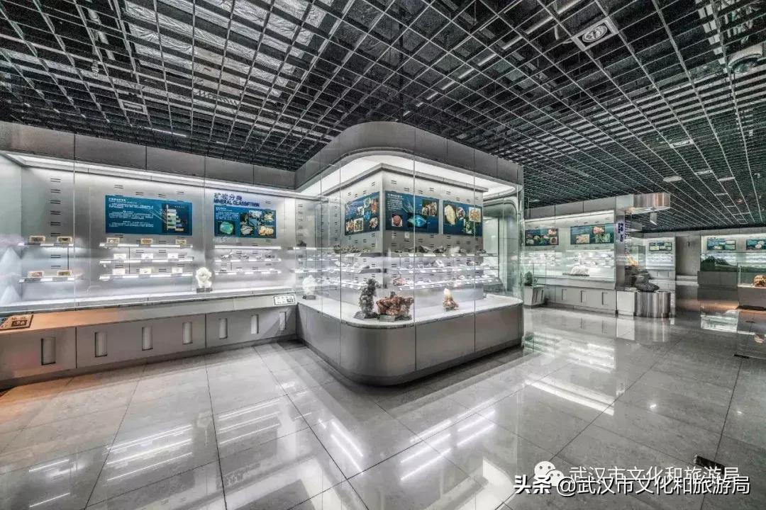 武汉奇特博物馆,武汉奇妙博物馆