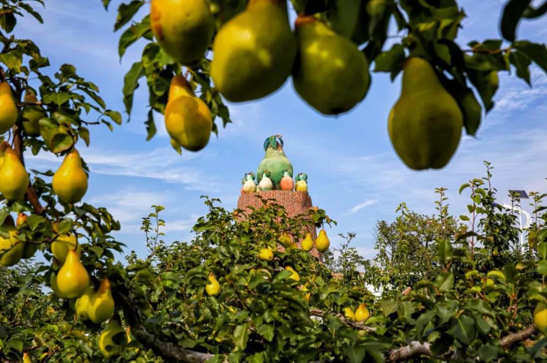 祖国颂|走进大梨树看小康