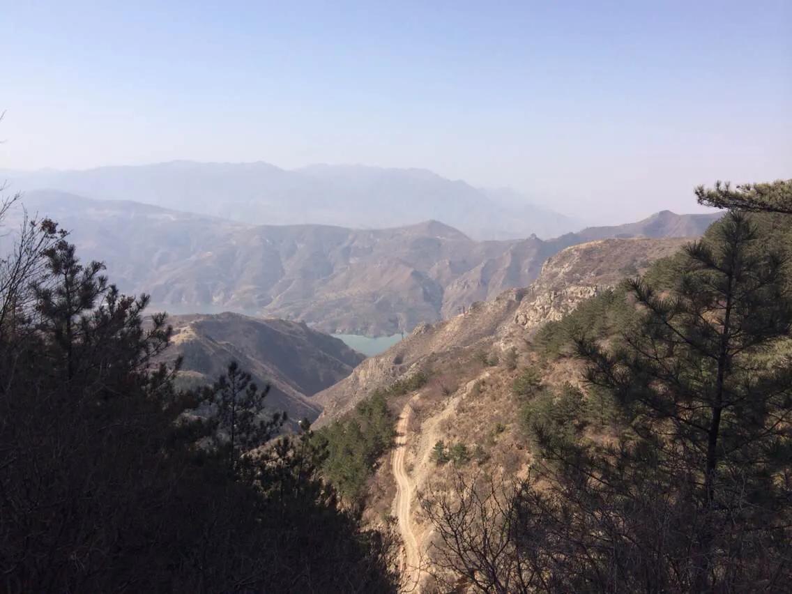 战胜癌症君,与肿瘤君抗争