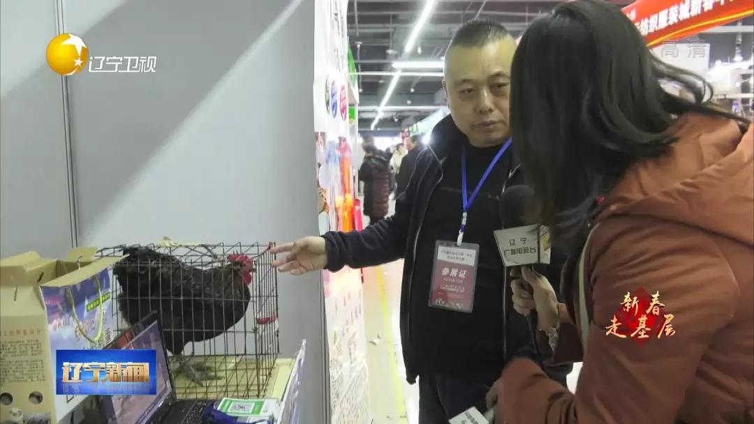 新春走基层逛大集买年货,新春走基层河北年货大集年味儿浓