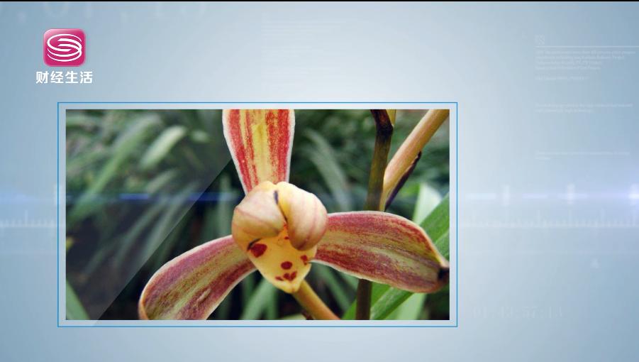 深圳财经频道直播,深圳财经直通车