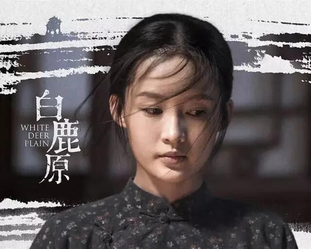 白鹿原书评200字,白鹿原小说经典书评