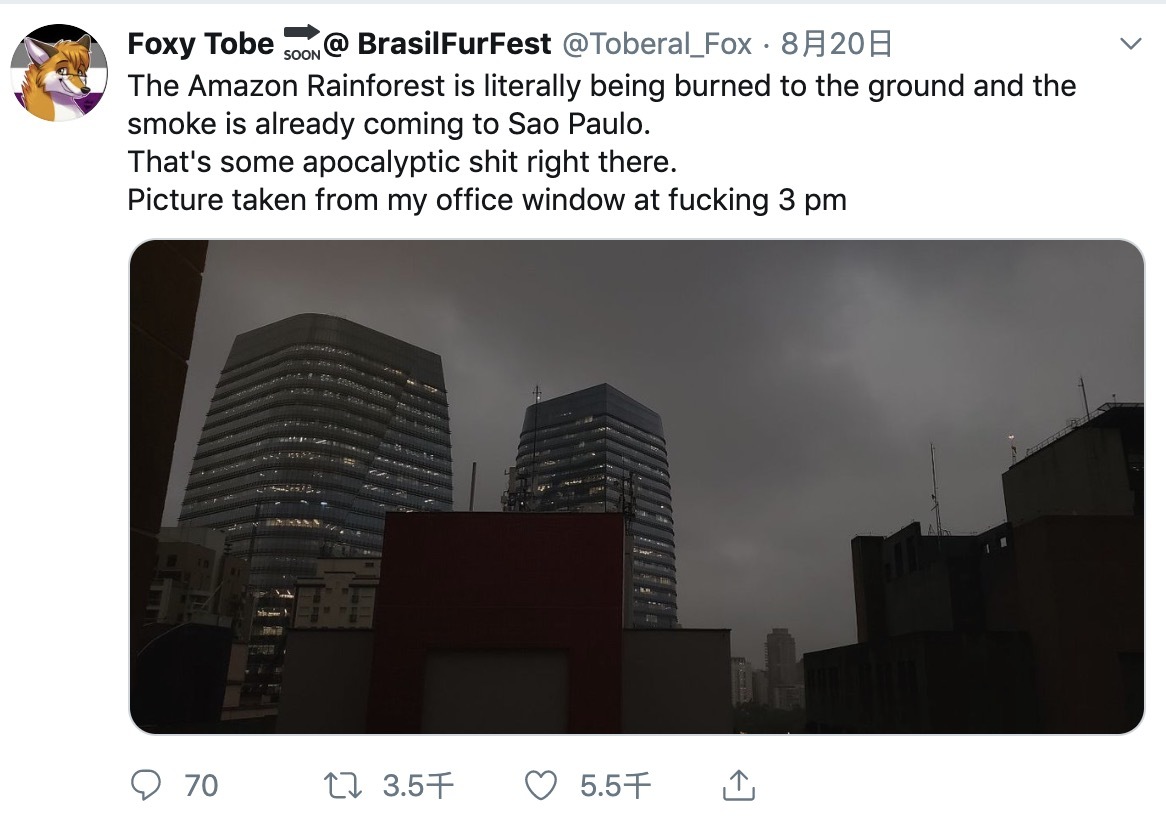 巴西亚马逊雨林损毁情况严峻,亚马逊热带雨林贯穿8个国家