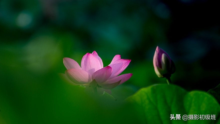 摄影基础知识光圈,摄影基础知识光圈快门感光度