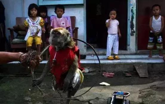 一部令人心酸的真实纪录片,难以忽视的真相纪录片讲了什么