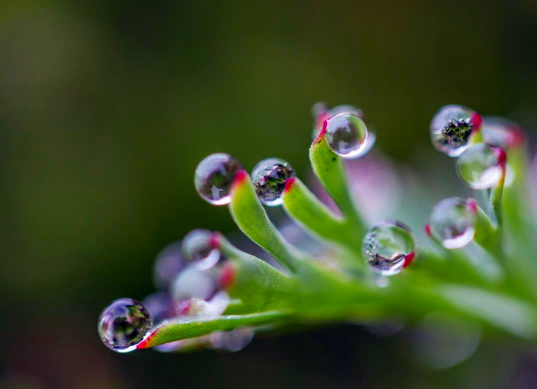 用情至深的人也容易极端,用情太深的人都容易心碎