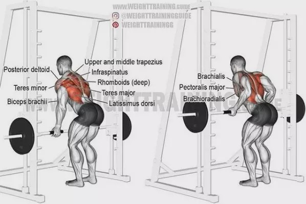 胸肩背臂腿腹训练动作,腰臀肌肉训练方法