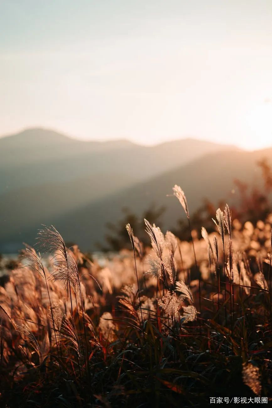 抖音最火的30首歌,40首抖音最火的歌