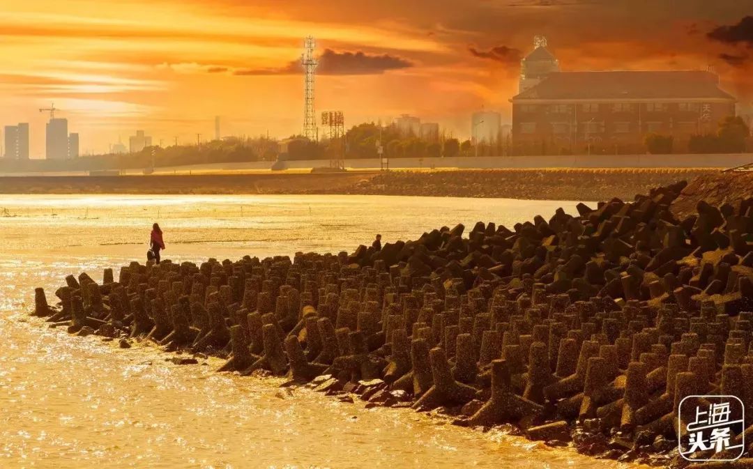 吵翻了!上海16个区终于正面PK!哪个是你心中的“扛把子”?