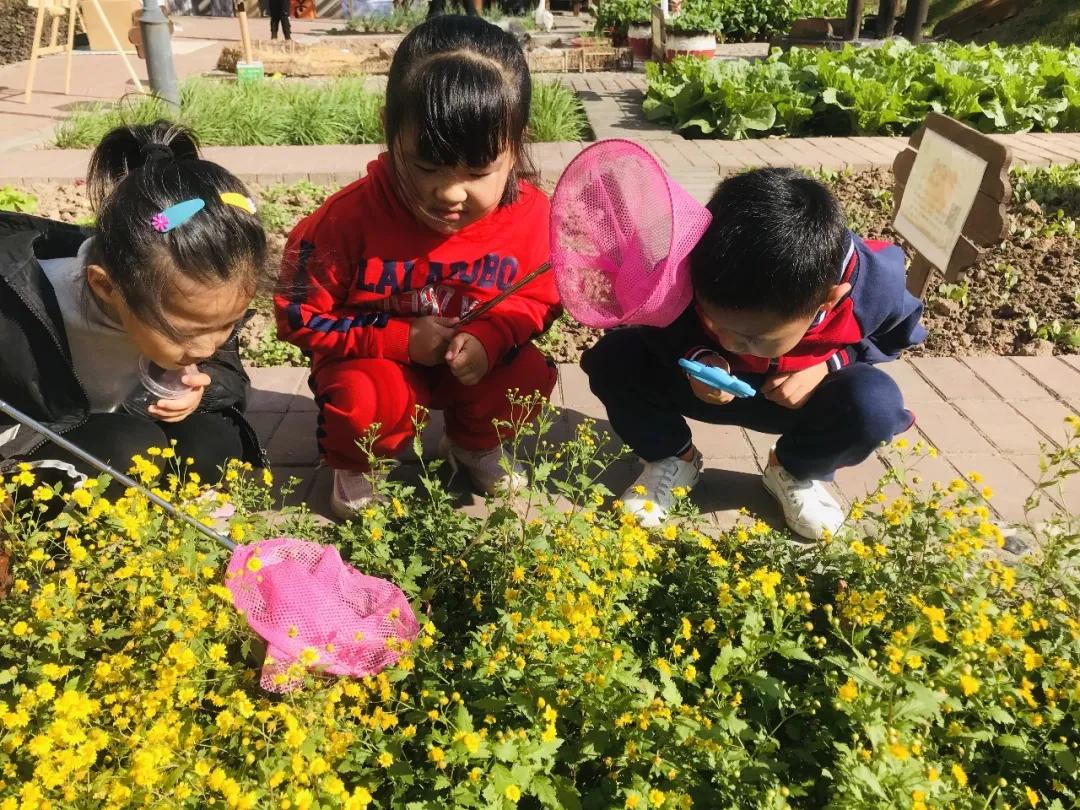 最美的风景美丽的校园,最美的风景就是校园