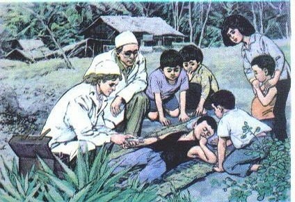 不同年代的小学课文插图,小学课文插图还记得多少