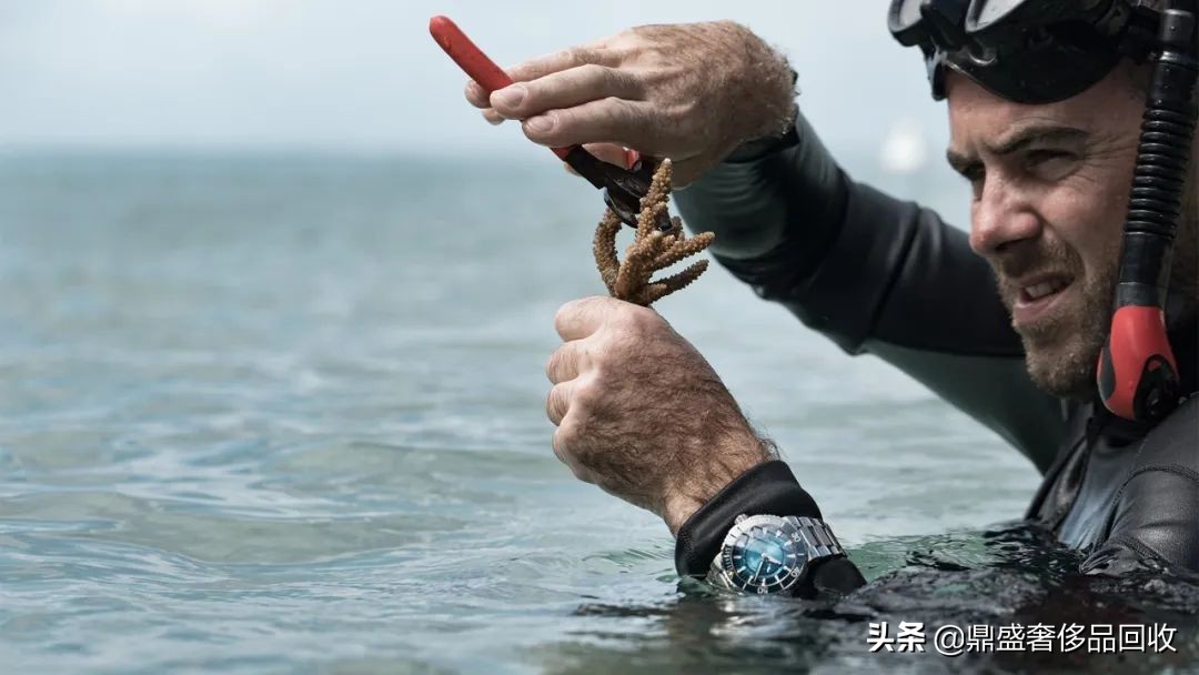 为什么不建议买豪利时手表,豪利时手表哪个系列最好