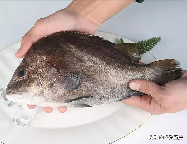 海鲜大荟萃,常见贝壳类海鲜