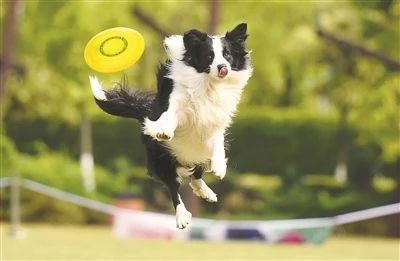 21号线街舞争霸赛,2023街舞总决赛在哪个频道直播