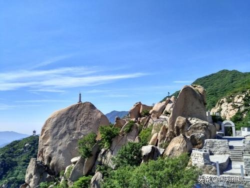 短腿泰迪视频,短腿泰迪跑步