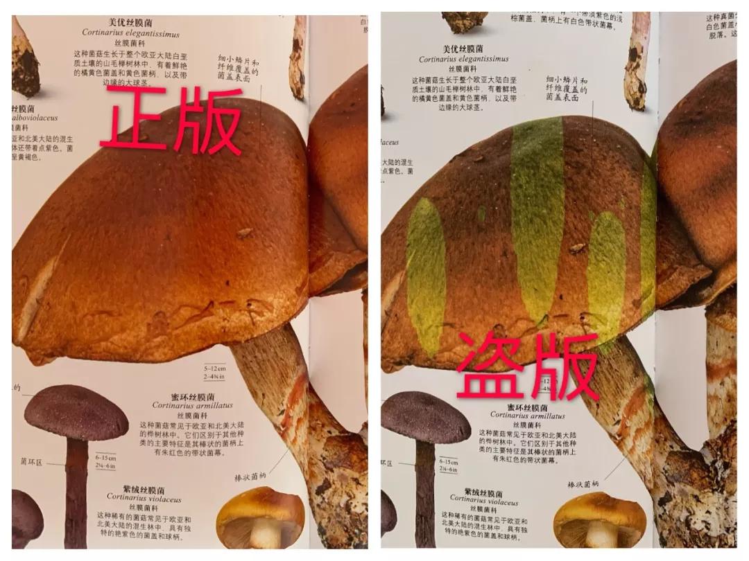 买到了盗版的书怎么办,买到盗版书了该怎么办